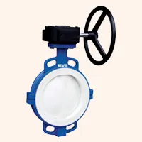 Butterfly Valve Supplier in Gujarat