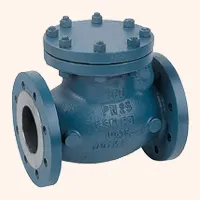 Check Valve Manufacturer in India