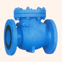 Check Valve Supplier & Exporter
