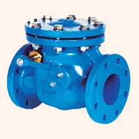 Check Valve Ahmedabad from Gujarat