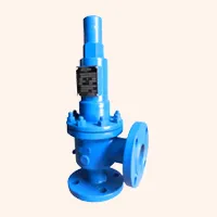 Safety Relief Valve