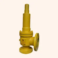 Safety Relief Valve