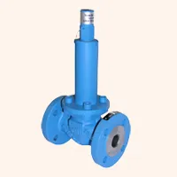 Safety Relief Valve
