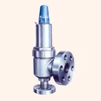 Safety Valves Manufacturer