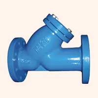 Y Strainer Valves Manufacturer in India
